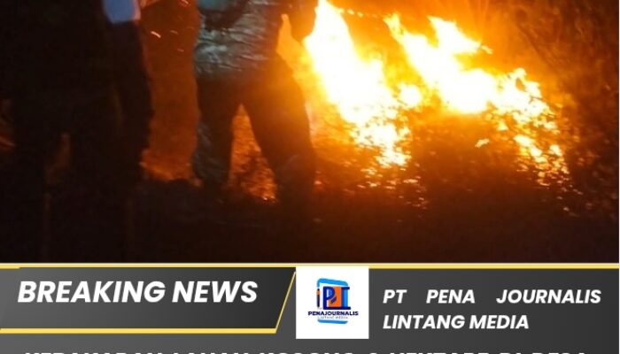 Kebakaran Lahan Kosong 2 Hektare di Desa Sanca Indramayu Berhasil Dipadamkan, Diduga Sengaja Dibakar