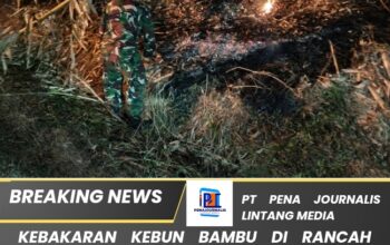 Kebakaran Kebun Bambu di Rancah Ciamis Berhasil Dipadamkan, Tidak Ada Korban Jiwa