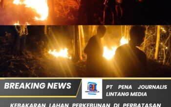 Kebakaran Lahan Perkebunan di Perbatasan Ciamis– Pangandaran, Polisi dan Warga Bahu-Membahu Padamkan Api