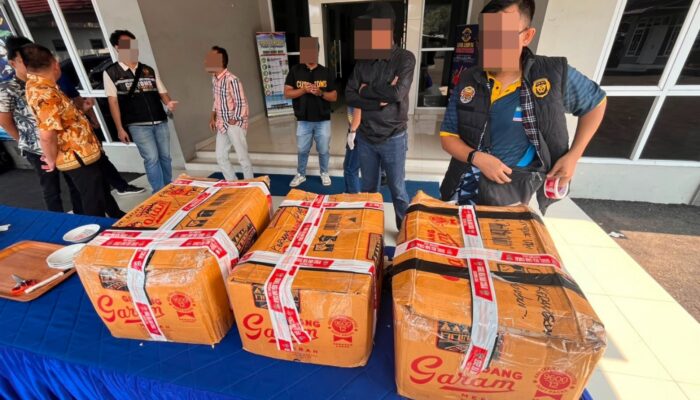 Keripik Singkong Rasa Vape? TNI AL Amankan Ribuan Cartridge Ilegal