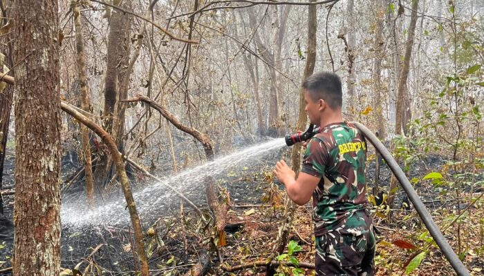 Totalitas Kodam XXII/TB Pimpin Tangani Karhutla di Taman Nasional Tanjung Puting