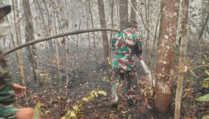 Kodam XXII/Tambun Bungai Terus Berjuang Padamkan dan Lindungi Taman Nasional Tanjung Puting