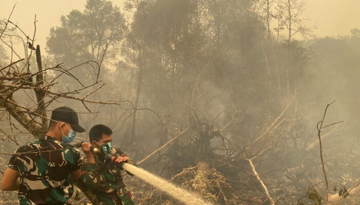 PERINTAH TEGAS PANGDAM XXII/TB: JANGAN KASIH KENDOR, TIM 1 DAMKAR 48 TERJUN PADAMKAN KARHUTLA DI BLACK BEACH KM 21